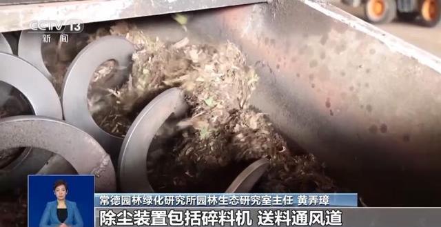 央视关注青岛：落叶“艺术变身”成公园景观和设施