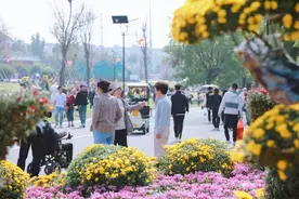 ?筝鸣时评丨从国庆“旅游热”洞见活力潍坊图片