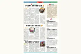周宁龙潭村：新鲜事，兰花香自“办公房”图片