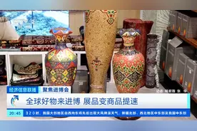 骆驼皮灯、捷克水晶…全球好物齐聚上海！进博会展品变商品→图片