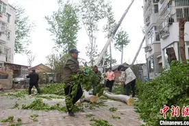 北京大风预计14日傍晚结束 全力保障菜篮子稳产保供图片