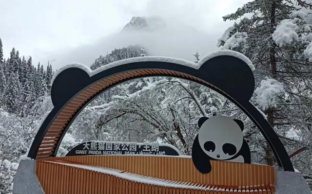 青睐绵阳 ‖ 彩林未尽,大雪已至!初冬的平武美成水墨画卷~