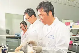 “芯”技术破解大黄鱼“基因密码”图片