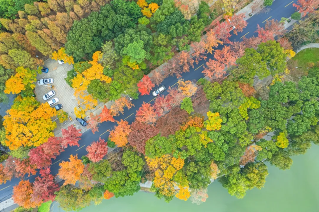 美翻了~这个秋假，来南湖吧！