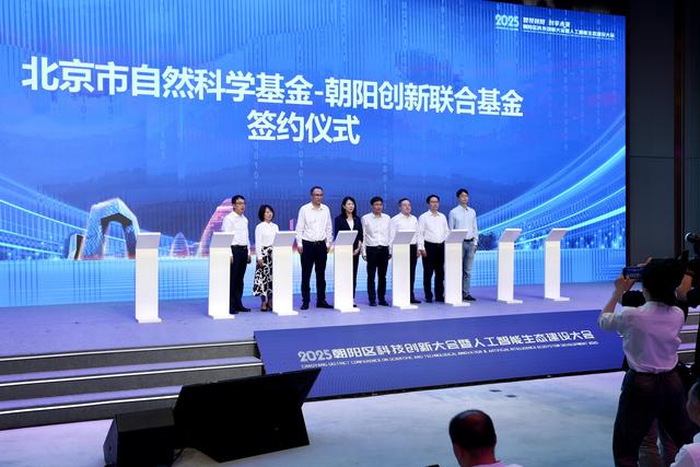 北京朝阳区建AI创新应用之城，底气打哪来？