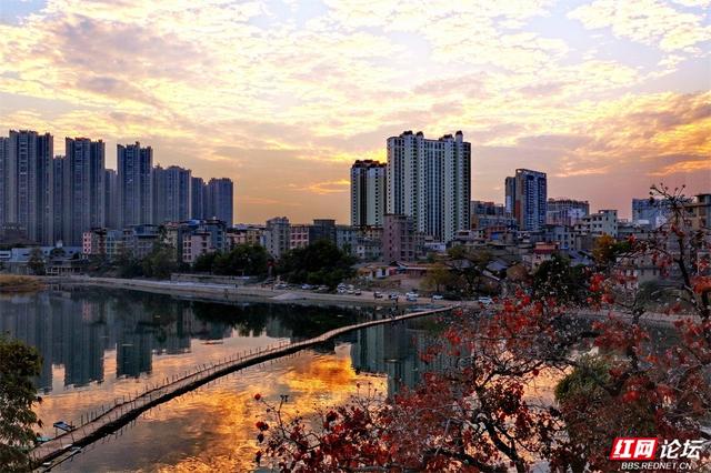 霞光漫过浮桥，桂林的黄昏温柔得不讲道理