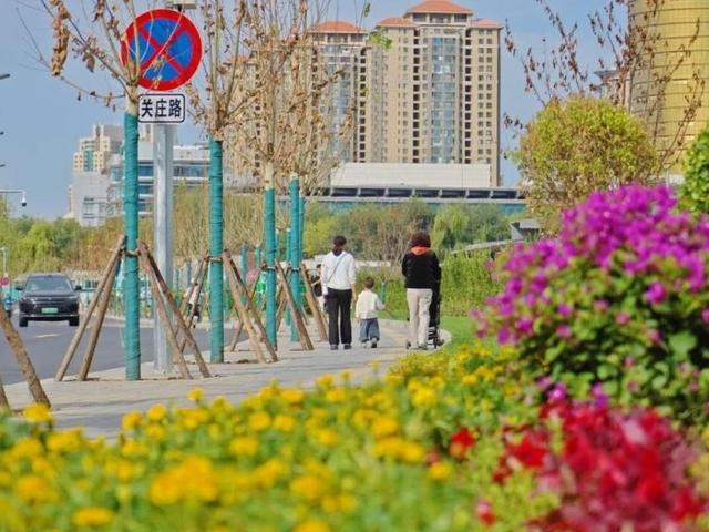 北京号最精彩 | 秋景上新！市属公园秋花展持续至11月上旬