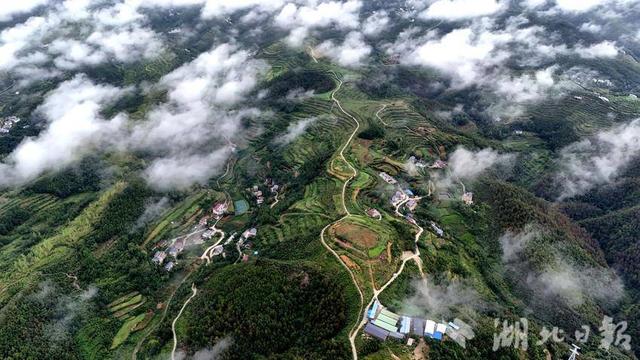 郧阳：云彩山上云雾飞