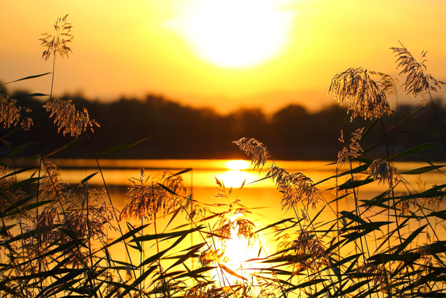 冬天来圆明园看海，邂逅一场宁静！