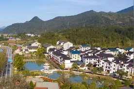 集体林改如何做？看福建三明的创新经验图片