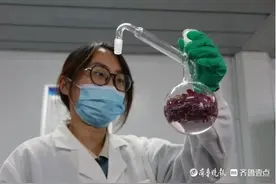 数年长跑，平阴玫瑰精油拿到打开国际市场的“金钥匙”图片