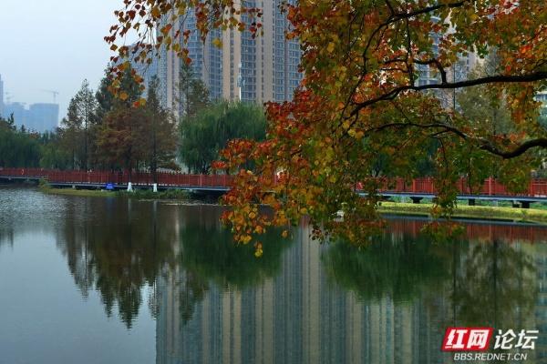 圭塘河生态公园：时光漫过木栈道，城与自然撞满怀