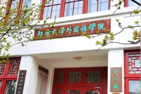 特色项目 | 在北大怎么学外语？图片