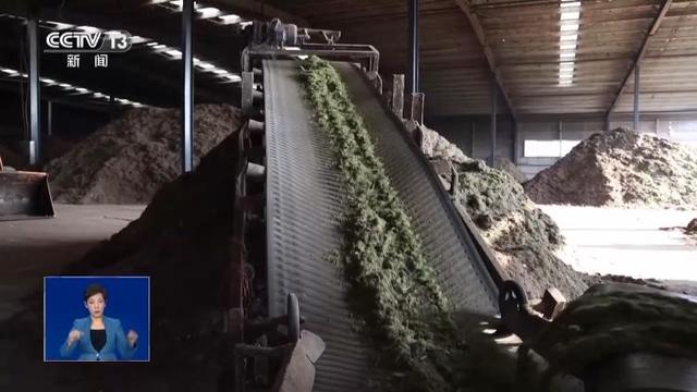 落叶如何变废为宝？各地巧妙“加工”留住秋日浪漫