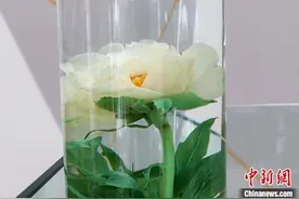 亦花亦药 看中药材里的“花花世界”图片