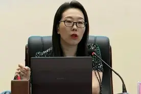 重庆市统计局一女处长被查图片