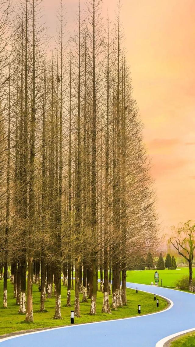 现在的宜兴，已经美成这样了……