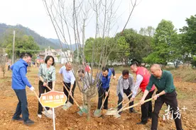 多方联动植树，为三水大塘“百千万工程”注入绿色动能图片