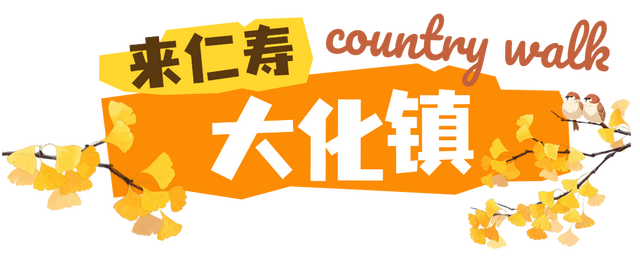 初秋country walk，是时候到仁寿村游啦