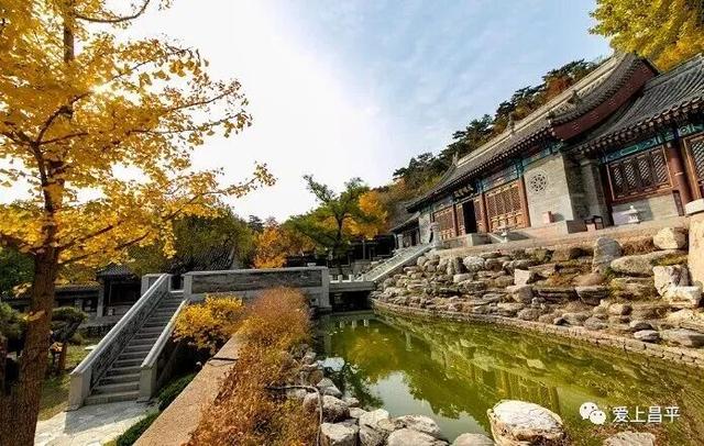 人少景美！北京这些古刹红叶正在最佳观赏期！