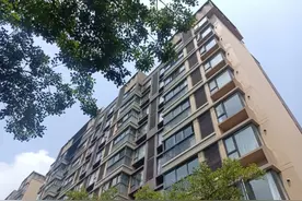 在闵行这里，“喵星人”不流浪图片