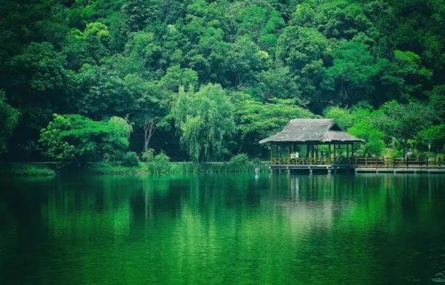 夏天的颜色，哪一抹让你心动了？