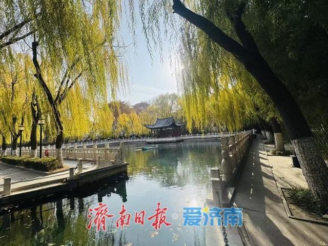 一年四季 泉在济南丨蓝天白云映清泉 济南珍珠泉冬日景致引客来