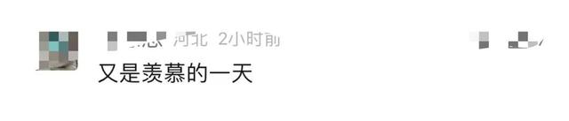 滴胶花标本 2026年鲜花滴胶标本教程