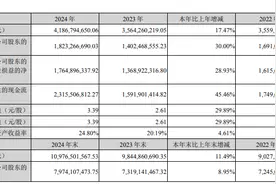 V观财报｜同花顺2024年净利润同比增长30%图片