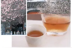 上班、上香之后，这届年轻人开始迷恋“上茶”？图片