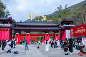 打卡《国色芳华》同款街区、四条赏花路线……天彭牡丹花会开幕图片