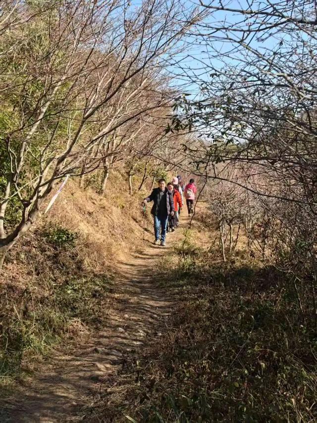 Hi走奉化⑧｜闯进冬日山野，邂逅三折冰瀑限定奇观