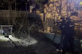 临安一村民家中闯进200多斤的“大家伙”，民警当场击毙！图片