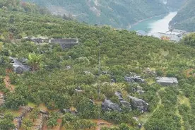 “无人机+无人车”  配送更高效图片