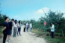 从农田到太空——记姜云龙的“千阳苹果”逐梦之旅图片