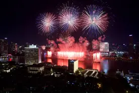 高清组图来了丨浪漫天花板！今夜，广州为你放了15万发烟花图片