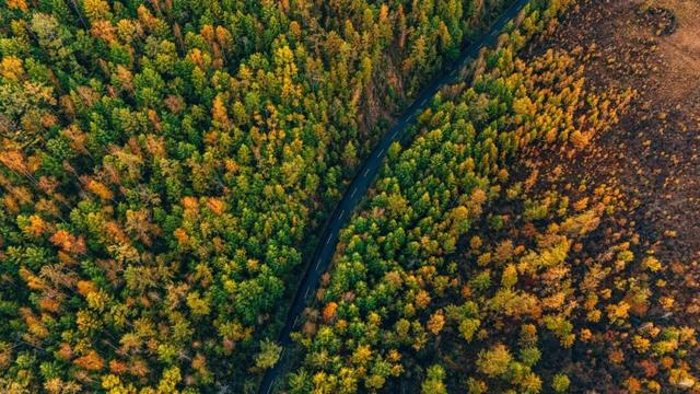 欢迎来到，秋天的廊道