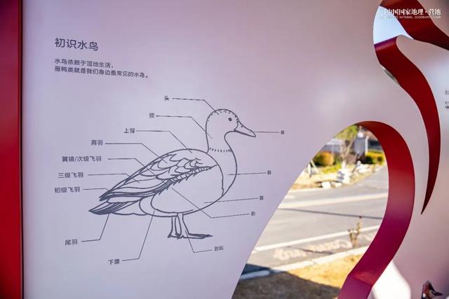 阳山自然驿站矩阵落成，全域科学体验线路启用