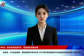 商务部等9单位：增开银发旅游列车，促进服务消费发展视频封面