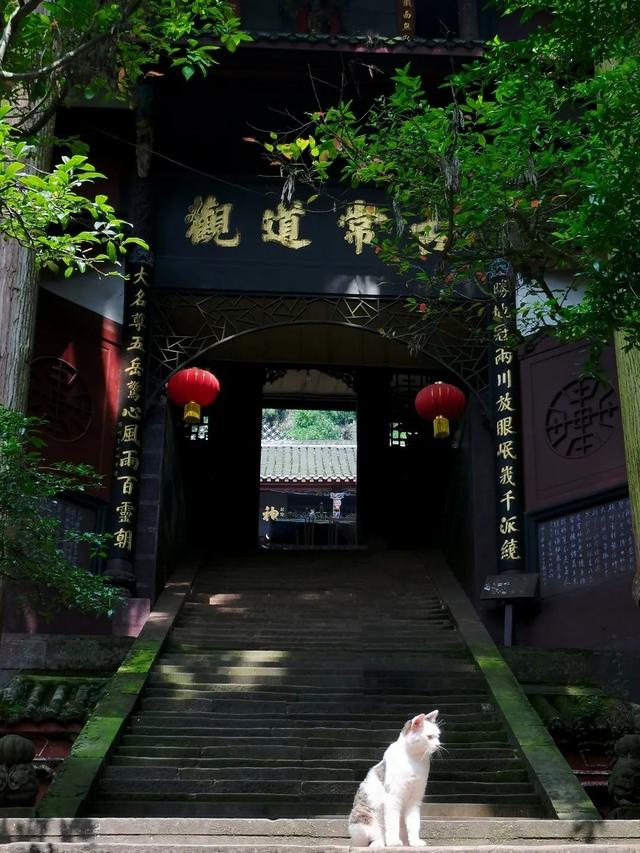 离开浪浪山，趁着周末正好到成都的山里来浪一浪！