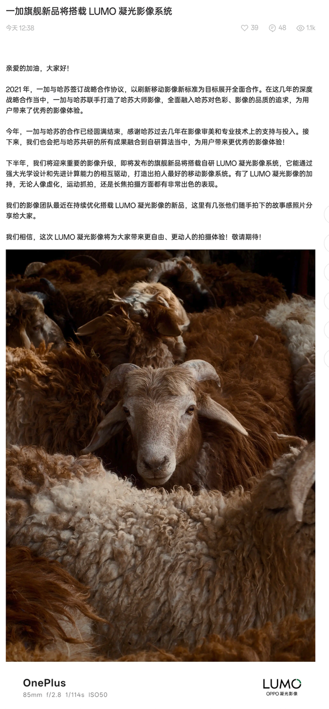 一加哈苏合作结束 新机样张给几分？| vivoX300屏幕公布
