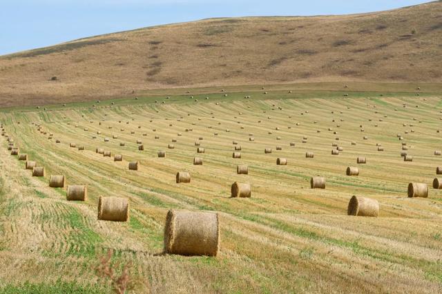 最懂松弛的北京中产，在内蒙玩得太“土”了