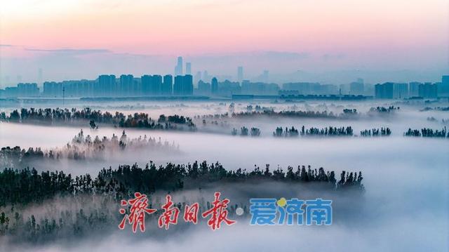 换个视角瞰济南，黄河平流雾美成“云端仙境”