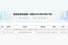 溢价率86.90%、楼面价24300元/平方米！成都天府新区楼面价“新地王”诞生图片