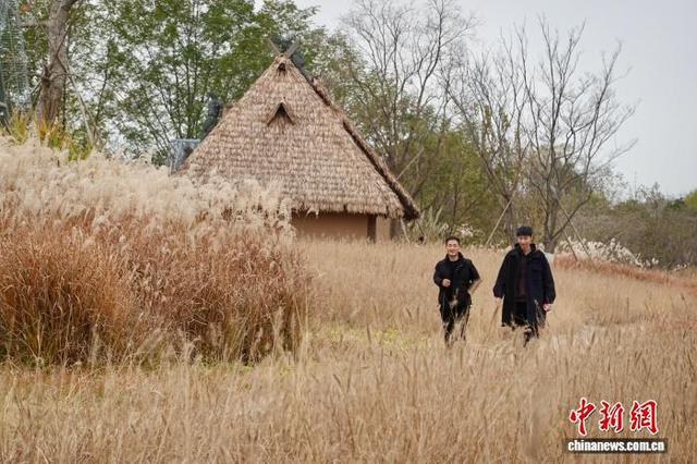 浙江杭州良渚古城遗址公园冬日美景吸引游人