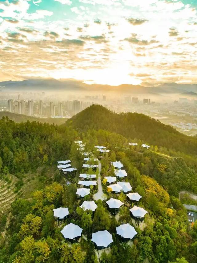 第十一届品致排行榜在沪揭晓，点亮品质文旅新图景
