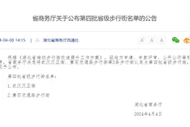 武汉汉正街被认定为湖北第四批省级步行街图片