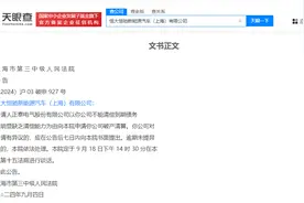 恒大恒驰汽车上海公司被申请破产审查图片