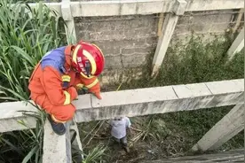 一个完美角度，让小孩哥掉进2米河道......图片