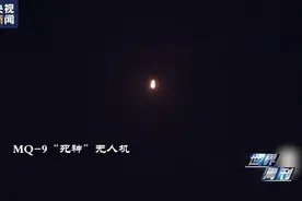 “盾牌”行动图片